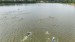 IMG-20250810-WA0088